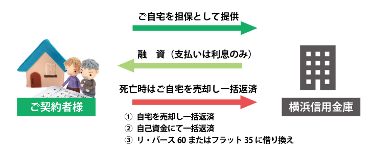 契約者→よこしん