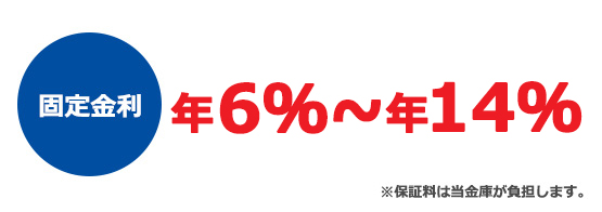 固定金利　年6%～14%