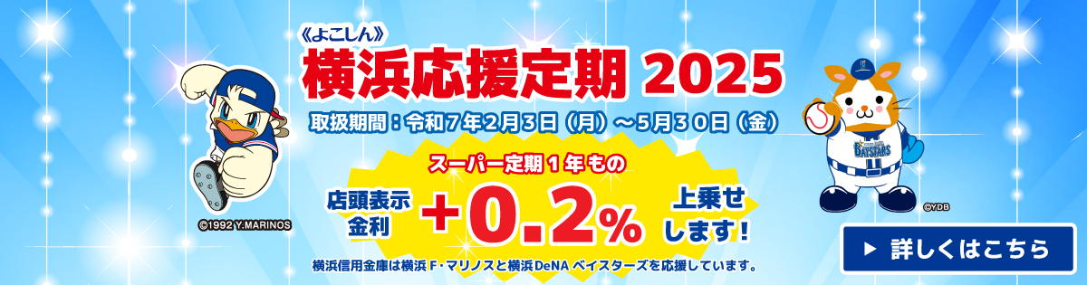 （一社）しんきん保証基金保証付マイカーローン