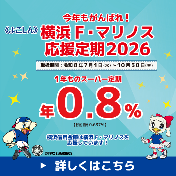 マリノス応援定期